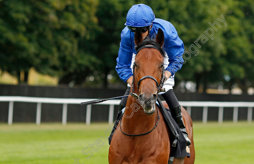 Noble-Style-0003 
 NOBLE STYLE (David Probert) winner of The Watch Live On Racing TV British EBF Novice Stakes
Newmarket 29 Jul 2022 - Pic Steven Cargill / Racingfotos.com