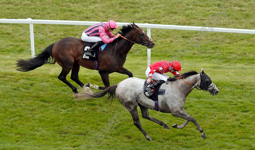 Red-Force-One-0005 
 RED FORCE ONE (Martin Harley) beats SWISS STORM in The Wellchild Handicap
Newbury 18 Aug 2018 - Pic Steven Cargill / Racingfotos.com