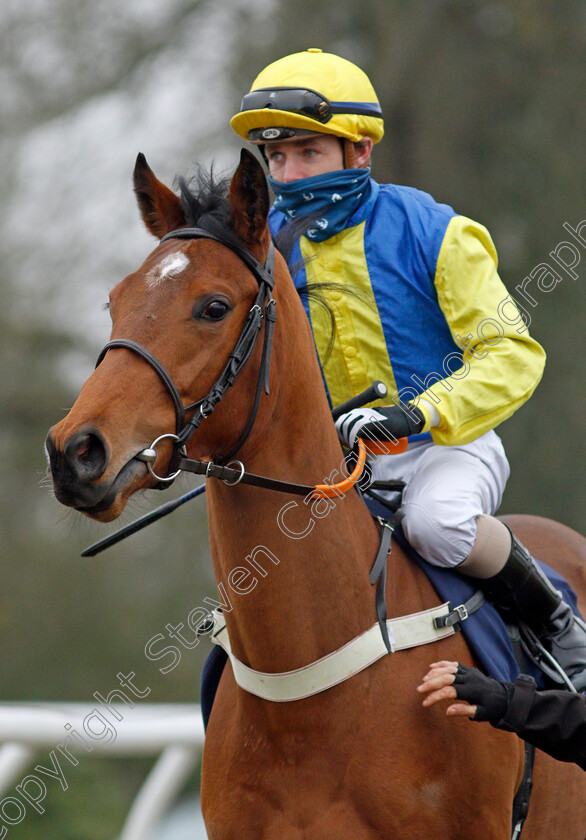 Delightfilly 
 DELIGHTFILLY (Kieran O'Neill)
Lingfield 25 Jan 2022 - Pic Steven Cargill / Racingfotos.com