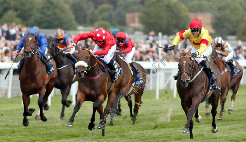 Alpha-Delphini-0002 
 ALPHA DELPHINI (right, Graham Lee) beats MABS CROSS (centre) in The Coolmore Nunthorpe Stakes
York 24 Aug 2018 - Pic Steven Cargill / Racingfotos.com