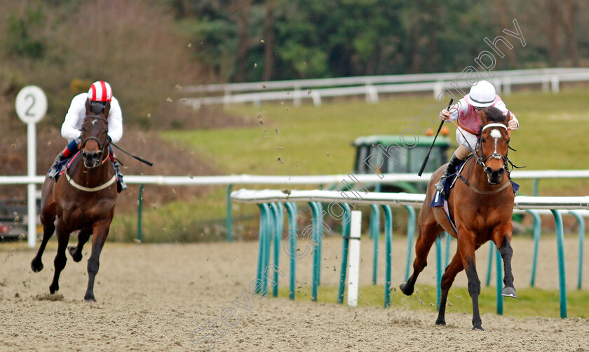 Attracted-0004 
 ATTRACTED (Richard Kingscote) wins The Bombardier Novice Stakes
Lingfield 19 Feb 2021 - Pic Steven Cargill / Racingfotos.com