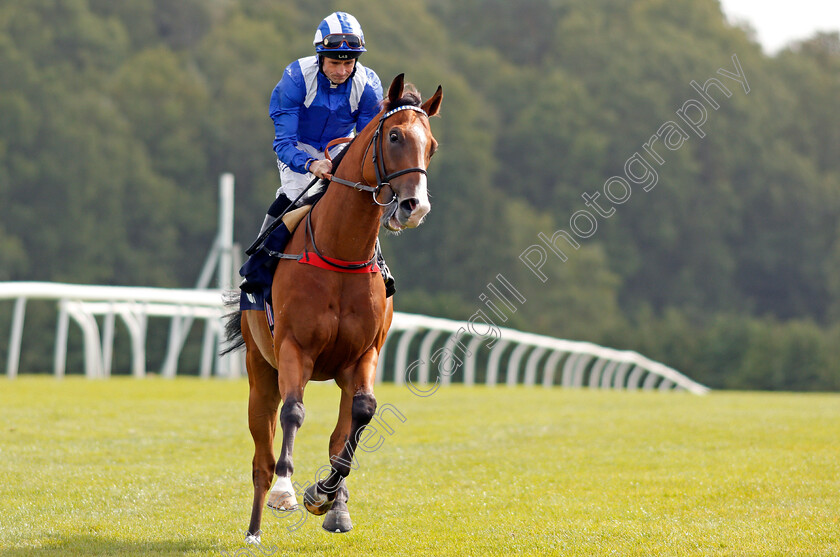 Waqt-0001 
 WAQT (Dane O'Neill) Chepstow 6 Sep 2017 - Pic Steven Cargill / Racingfotos.com