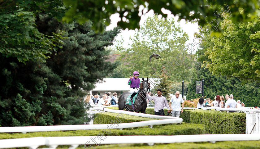 Soar-Above-0001 
 SOAR ABOVE (Morgan Cole) before winning The 32Red On The App Store Apprentice Handicap
Kempton 10 Jul 2019 - Pic Steven Cargill / Racingfotos.com