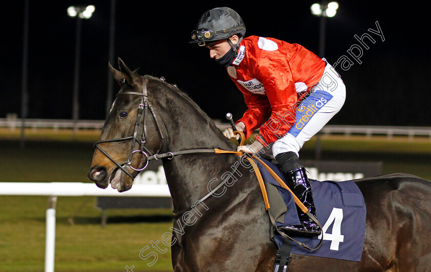 Be-My-Beau-0001 
 BE MY BEAU (Harrison Shaw)
Wolverhampton 18 Jan 2021 - Pic Steven Cargill / Racingfotos.com