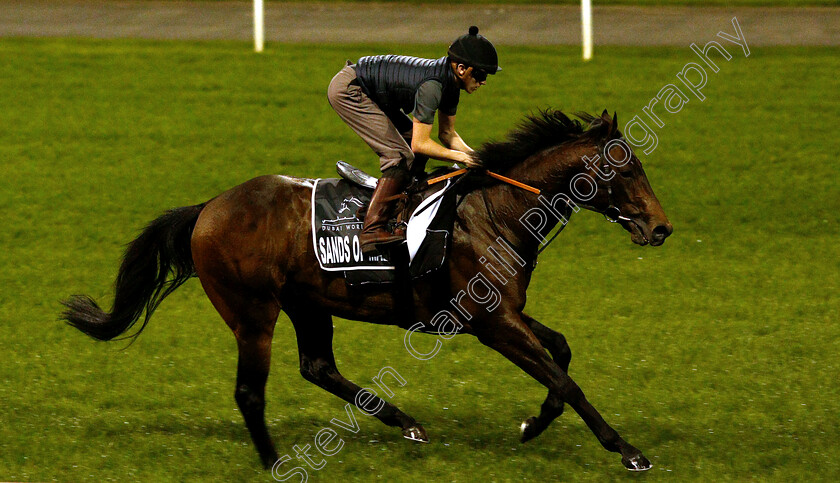 Sands-Of-Mali-0004 
 SANDS OF MALI training for the Al Quoz Sprint
Meydan 27 Mar 2019 - Pic Steven Cargill / Racingfotos.com