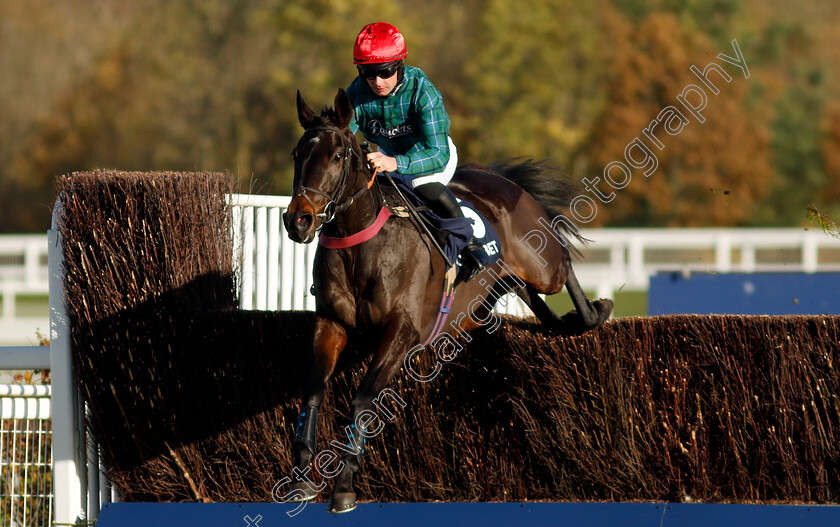 Bucksy-Des-Epeires-0001 
 BUCKSY DES EPEIRES (Charlie Deutsch) wins The Copybet Novices Limited Handicap Chase
Ascot 22 Nov 2024 - Pic Steven Cargill / Racingfotos.com