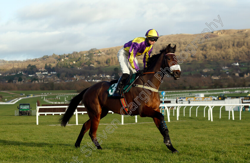 Le-Patron-0001 
 LE PATRON (Freddie Mitchell)
Cheltenham 14 Dec 2024 - Pic Steven Cargill / Racingfotos.com