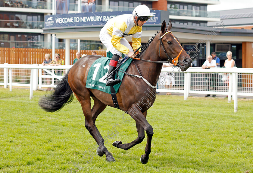 Never-In-Paris-0001 
 NEVER IN PARIS (Ben Curtis)
Newbury 20 Jul 2019 - Pic Steven Cargill / Racingfotos.com