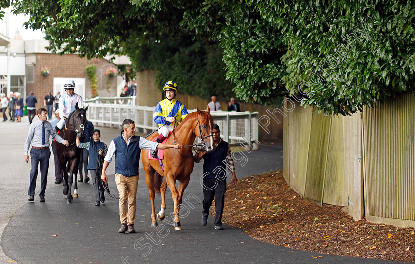 Dalby-Forest-0001 
 DALBY FOREST (Cieren Fallon)
Sandown 27 Jul 2023 - Pic Steven Cargill / Racingfotos.com