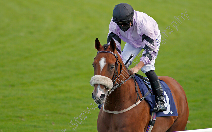 Proclaimer-0001 
 PROCLAIMER (Tom Marquand)
Yarmouth 25 Aug 2020 - Pic Steven Cargill / Racingfotos.com