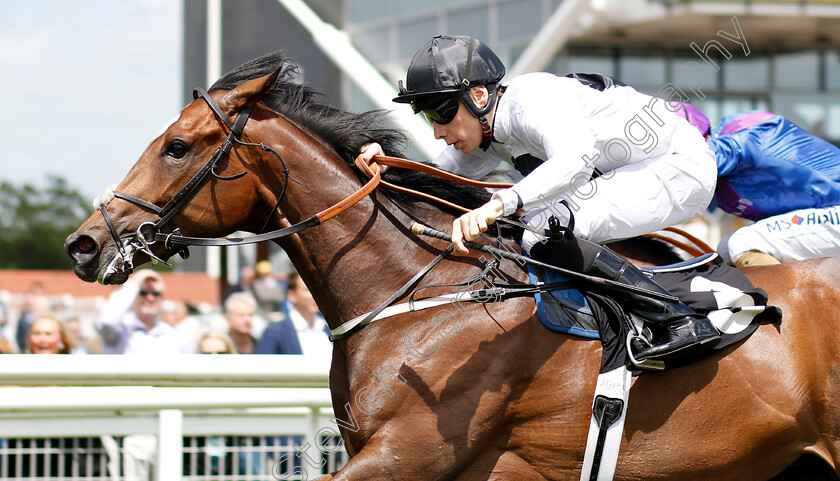 Confiding-0005 
 CONFIDING (Callum Shepherd) wins The Be Wiser Insurance Novice Stakes
Newbury 14 Jun 2018 - Pic Steven Cargill / Racingfotos.com