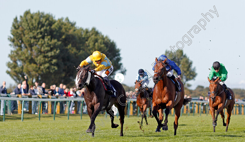 Zack-Mayo-0003 
 ZACK MAYO (left, Silvestre De Sousa) beats HIGH END (centre) in The Dan Hague Yarmouth's Number 1 Bookmaker Handicap Yarmouth 19 Sep 2017 - Pic Steven Cargill / Racingfotos.com