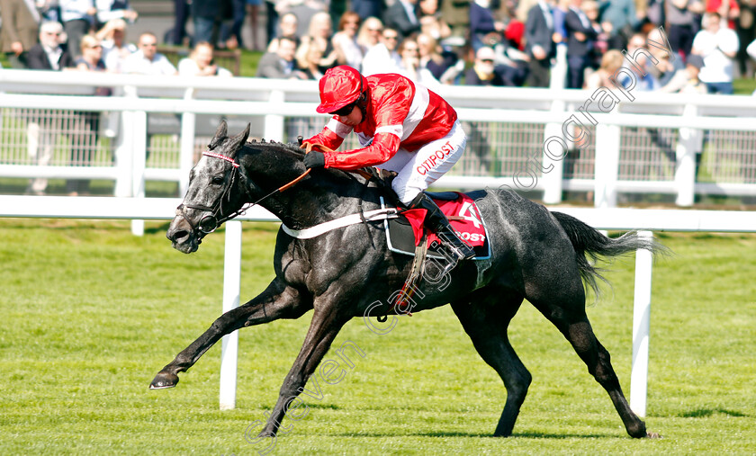 Diese-Des-Bieffes-0003 
 DIESE DES BIEFFES (Noel Fehily) wins The Citipost Novices Hurdle Cheltenham 18 Apr 2018 - Pic Steven Cargill / Racingfotos.com