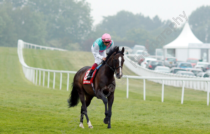 Weekender-0001 
 WEEKENDER (Frankie Dettori)
Sandown 24 May 2018 - Pic Steven Cargill / Racingfotos.com