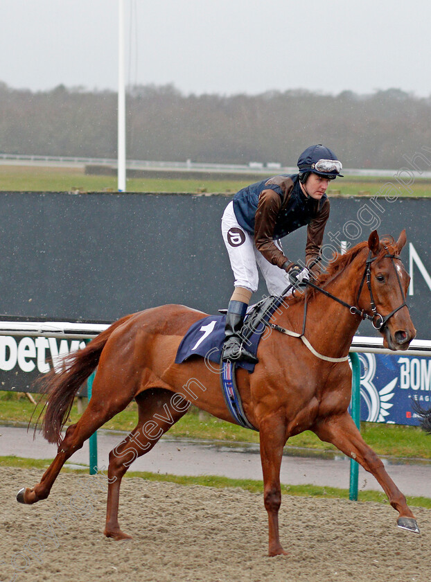 Marmalade-Day-0001 
 MARMALADE DAY (Tom Queally)
Lingfield 15 Feb 2020 - Pic Steven Cargill / Racingfotos.com