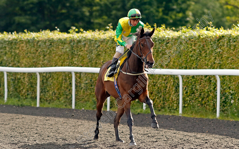 Marrakesh-Dawn-0001 
 MARRAKESH DAWN (George Rooke)
Kempton 12 Jun 2024 - Pic Steven Cargill / Racingfotos.com