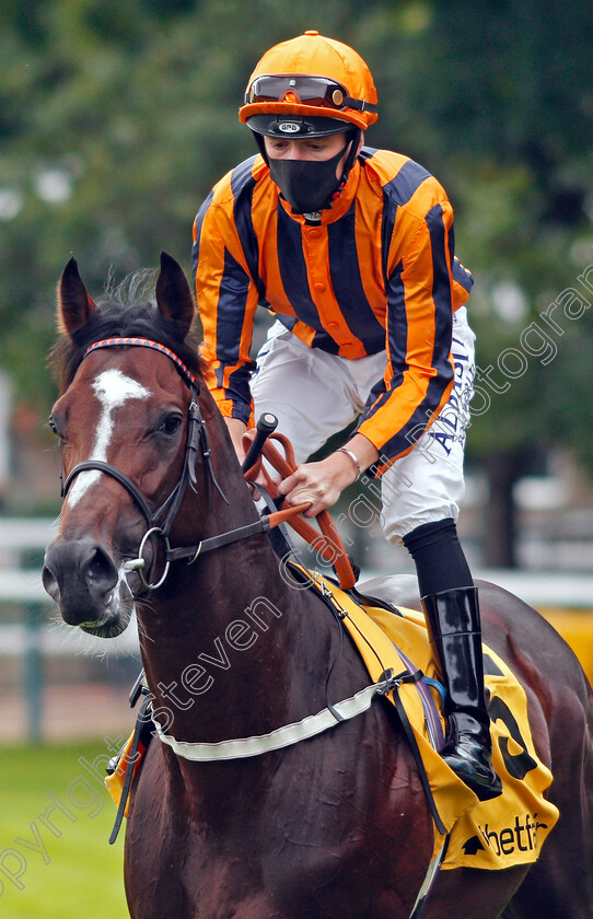 Dancing-Harry-0002 
 DANCING HARRY (Cam Hardie)
Haydock 5 Sep 2020 - Pic Steven Cargill / Racingfotos.com