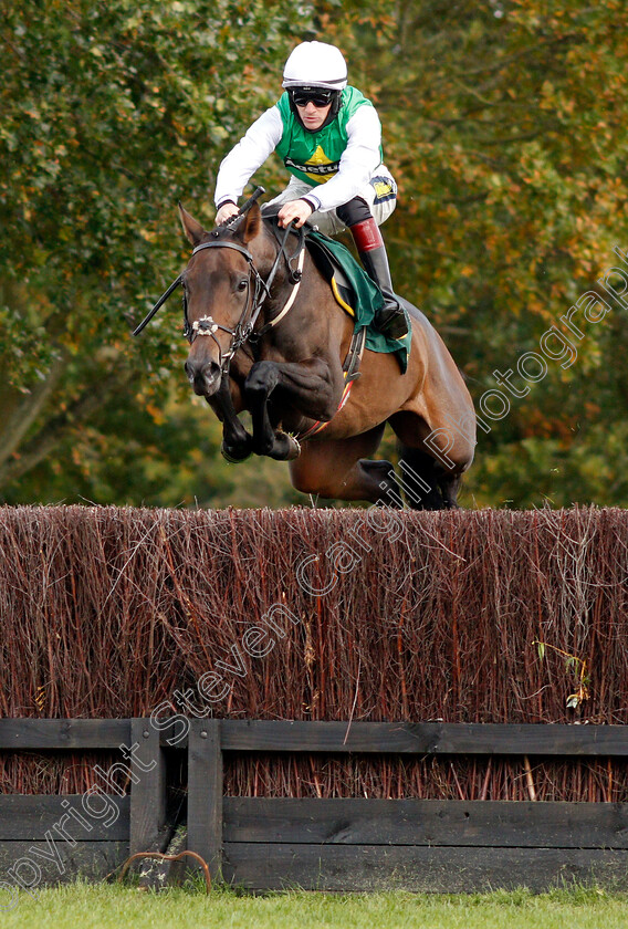 Bit-On-The-Side-0001 
 BIT ON THE SIDE (Sam Twiston-Davies)
Fakenham 16 Oct 2020 - Pic Steven Cargill / Racingfotos.com