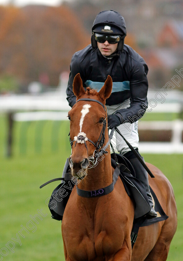 Soldierofthestorm-0001 
 SOLDIEROFTHESTORM (Jonjo O'Neill)
Warwick 22 Nov 2023 - Pic Steven Cargill / Racingfotos.com