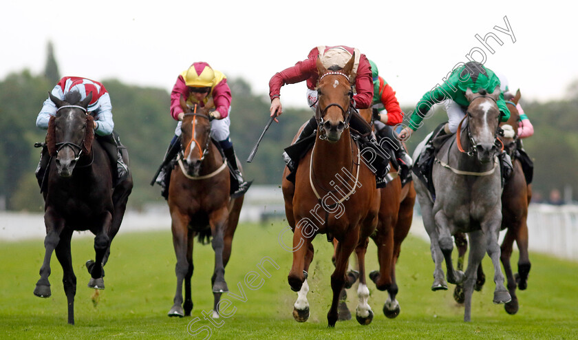 Rage-Of-Bamby-0001 
 RAGE OF BAMBY (Charles Bishop)
York 23 Aug 2023 - Pic Steven Cargill / Racingfotos.com