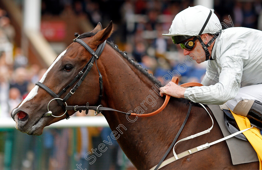 Golden-Flame-0005 
 GOLDEN FLAME (Joe Fanning) wins The My Odds Boost On Betfair Handicap
Haydock 4 Sep 2021 - Pic Steven Cargill / Racingfotos.com