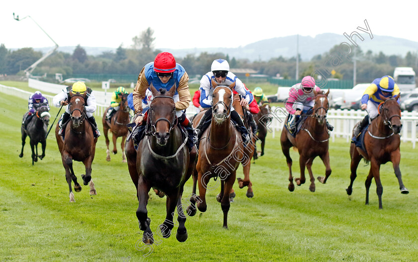 Native-American-0003 
 NATIVE AMERICAN (Colin Keane) wins The Tattersalls Ireland Super Auction Sale Stakes
The Curragh 10 Sep 2023 - Pic Steven Cargill / Racingfotos.com