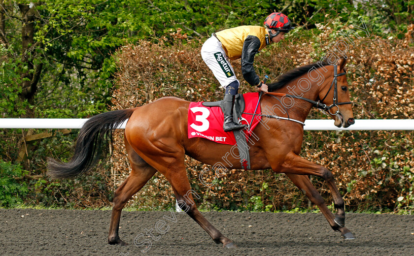 Star-Pupil-0001 
 STAR PUPIL (George Rooke)
Kempton 6 Apr 2024 - Pic Steven Cargill / Racingfotos.com