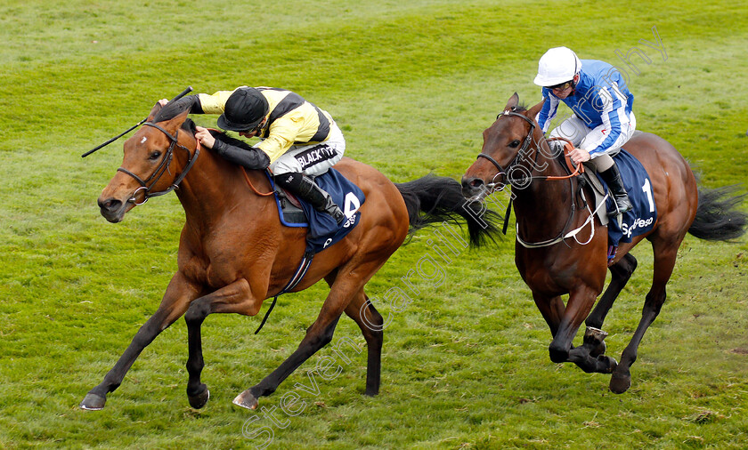 Future-Investment-0004 
 FUTURE INVESTMENT (Harry Bentley) beats BO SAMRAAN (right) in The Sportpesa Maiden Stakes
Chester 8 May 2019 - Pic Steven Cargill / Racingfotos.com