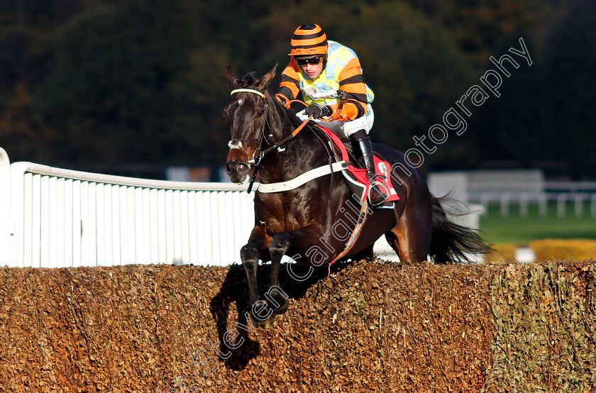 Might-Bite-0003 
 MIGHT BITE (Nico de Boinville) wins The 188bet Future Stars Intermediate Chase Sandown 12 Nov 2017 - Pic Steven Cargill / Racingfotos.com