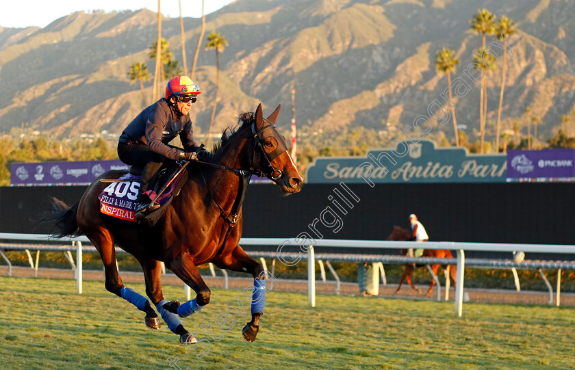 Inspiral-0003 
 INSPIRAL (Frankie Dettori) training for the Breeders' Cup Filly & Mare Turf
Santa Anita USA, 1 Nov 2023 - Pic Steven Cargill / Racingfotos.com