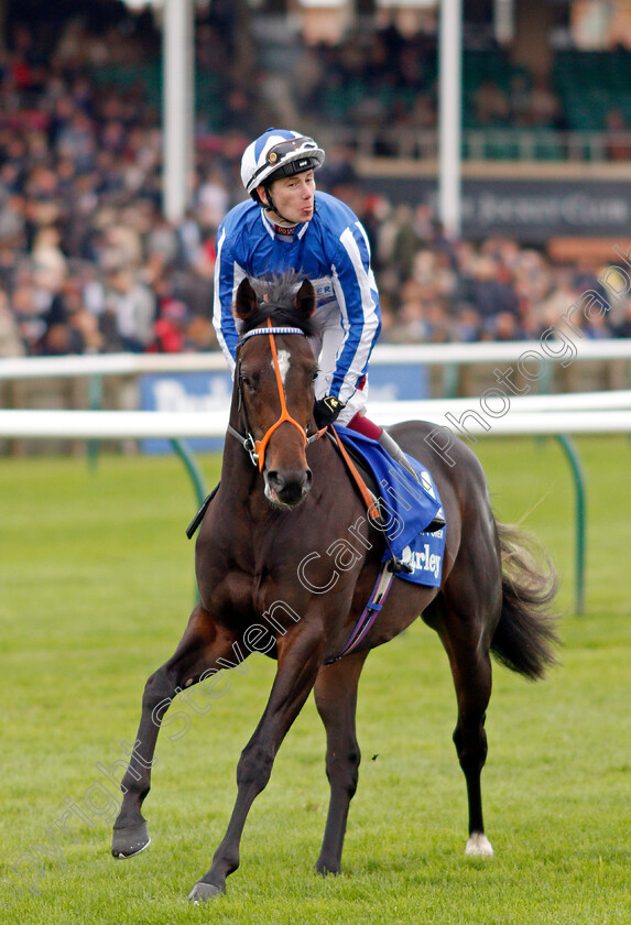 Mystery-Power-0001 
 MYSTERY POWER (Oisin Murphy)
Newmarket 12 Oct 2019 - Pic Steven Cargill / Racingfotos.com