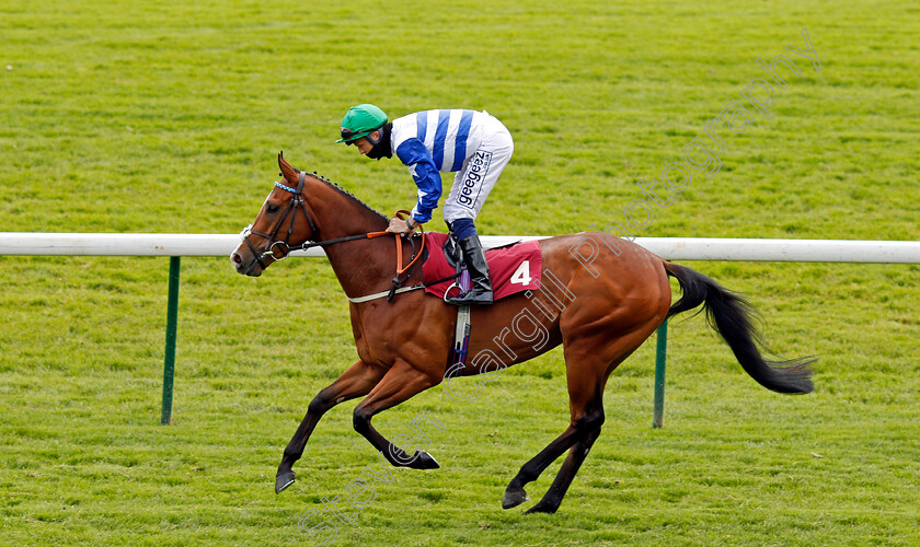 Tipperary-Tiger-0001 
 TIPPERARY TIGER (David Probert)
Haydock 29 May 2021 - Pic Steven Cargill / Racingfotos.com