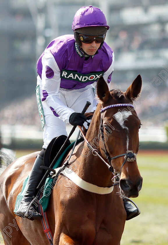 Nestor-Park-0001 
 NESTOR PARK (Nico de Boinville)
Aintree 6 Apr 2019 - Pic Steven Cargill / Racingfotos.com