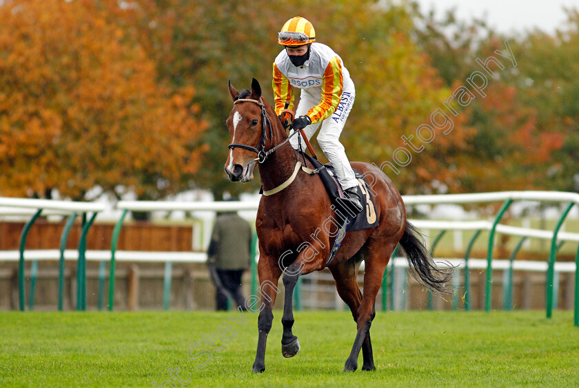 Entwine-0001 
 ENTWINE (Pat Cosgrave) before The Watch And Bet At Mansionbet Fillies Novice Median Auction Stakes
Newmarket 21 Oct 2020 - Pic Steven Cargill / Racingfotos.com