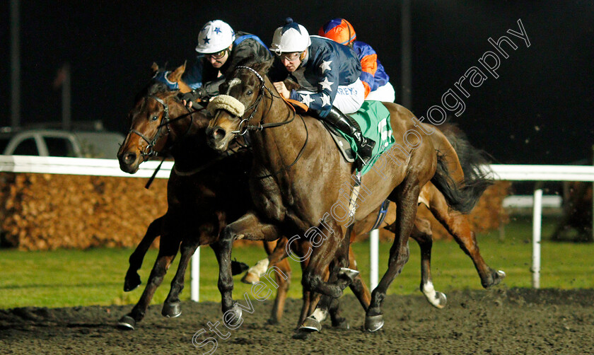 Independence-Day-0001 
 INDEPENDENCE DAY (Joey Haynes) wins The Happy 4th Birthday Alexandra Ford Classified Stakes
Kempton 16 Feb 2022 - Pic Steven Cargill / Racingfotos.com