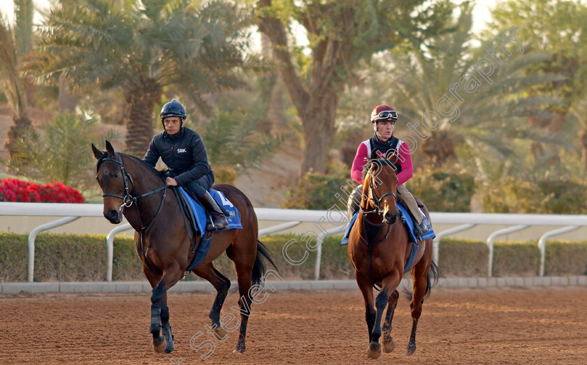 Happy-Romance-and-Lusail-0001 
 HAPPY ROMANCE (left) with LUSAIL (right) training for The 1351 Turf Sprint
King Abdulaziz Racecourse, Kingdom Of Saudi Arabia, 23 Feb 2023 - Pic Steven Cargill / Racingfotos.com