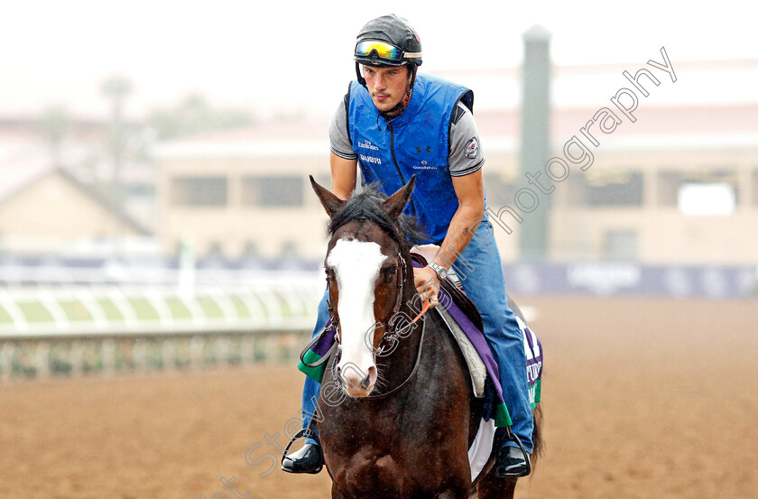 Talismanic-0001 
 TALISMANIC training for The Breeders' Cup Turf at Del Mar USA 31 Oct 2017 - Pic Steven Cargill / Racingfotos.com