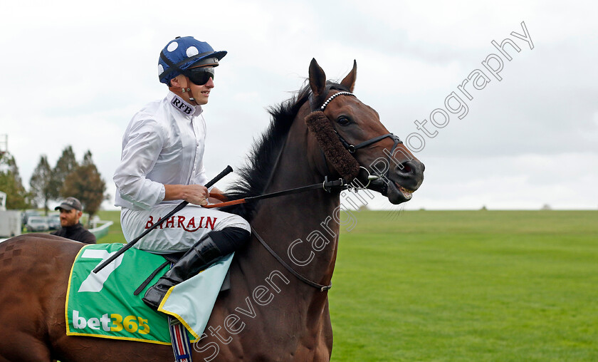 Laafi-0001 
 LAAFI (Tom Marquand)
Newmarket 13 Oct 2023 - Pic Steven Cargill / Racingfotos.com