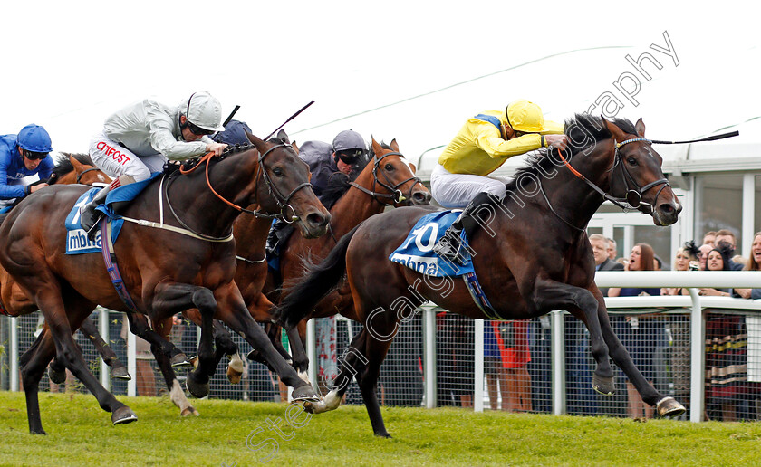 Young-Rascal-0007 
 YOUNG RASCAL (James Doyle) beats DEE EX BEE (left) in The Centennial Celebration MBNA Chester Vase Stakes Chester 9 May 2018 - Pic Steven Cargill / Racingfotos.com