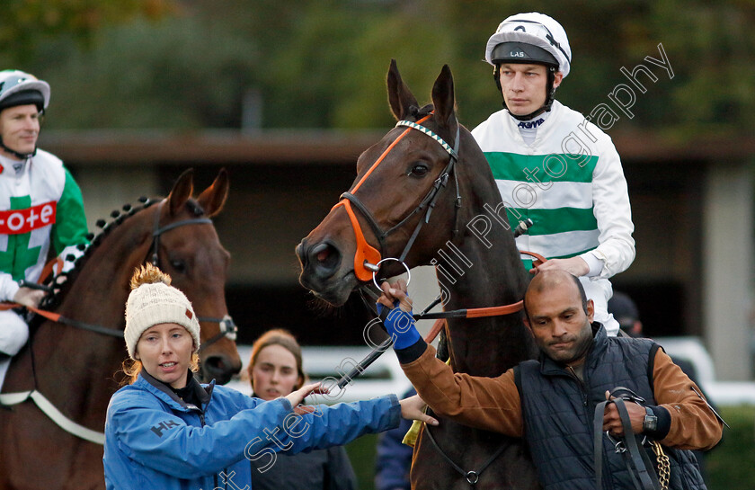 Heat-Of-Passion-0001 
 HEAT OF PASSION (Luke Morris)
Kempton 2 Oct 2024 - pic Steven Cargill / Racingfotos.com