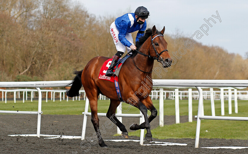 Almighwar-0001 
 ALMIGHWAR (Robert Havlin)
Kempton 27 Mar 2021 - Pic Steven Cargill / Racingfotos.com