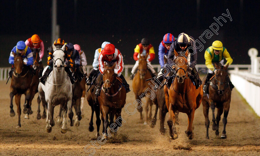 Lucky-Turn-0003 
 LUCKY TURN (Hayley Turner) wins The Fluid Business Coaching Handicap
Chelmsford 28 Nov 2019 - Pic Steven Cargill / Racingfotos.com