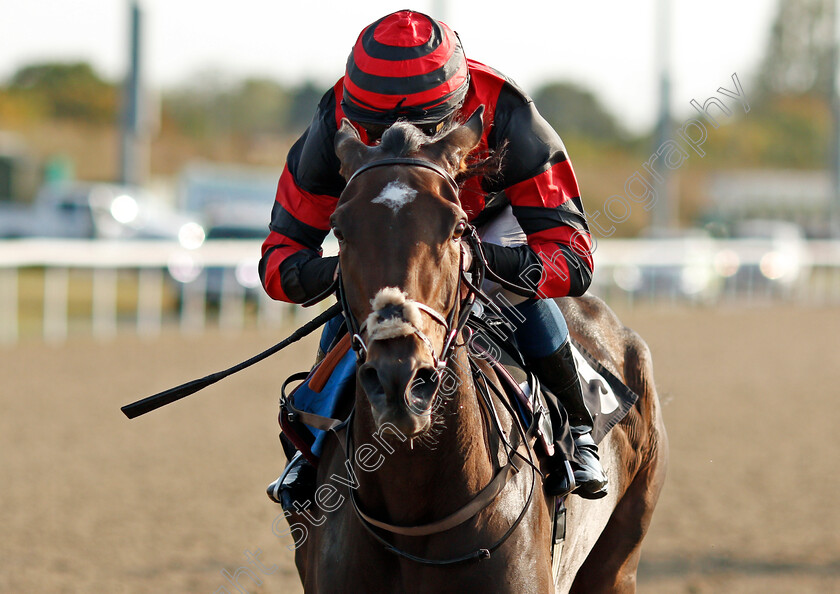 La-Dragontea-0008 
 LA DRAGONTEA (William Buick) wins The EBF Fillies Novice Stakes
Chelmsford 20 Sep 2020 - Pic Steven Cargill / Racingfotos.com