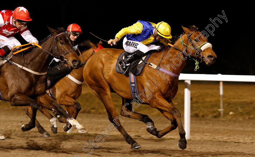 Cashel-0004 
 CASHEL (Tom Marquand) wins The Bet totescoop6 At totesport.com Handicap
Chelmsford 21 Feb 2019 - Pic Steven Cargill / Racingfotos.com