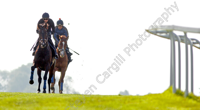 Young-Rascal-0006 
 YOUNG RASCAL (James Doyle) exercising with ORIGINAL CHOICE at Epsom Racecourse in preparation for The Investec Derby, 22 May 2018 - Pic Steven Cargill / Racingfotos.com