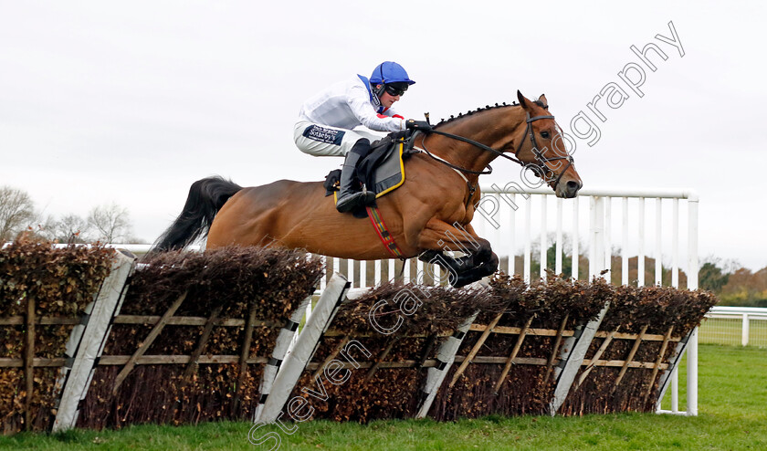 Lord-Of-Cheshire-0001 
 LORD OF CHESHIRE (Finn Lambert) wins The Bluenose Day Conditional Jockeys Handicap Hurdle
Warwick 22 Nov 2023 - Pic Steven Cargill / Racingfotos.com