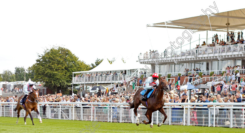 Borntobealeader-0005 
 BORNTOBEALEADER (Sean Levey) wins The William Hill Selling Stakes
Goodwood 28 Aug 2022 - Pic Steven Cargill / Racingfotos.com