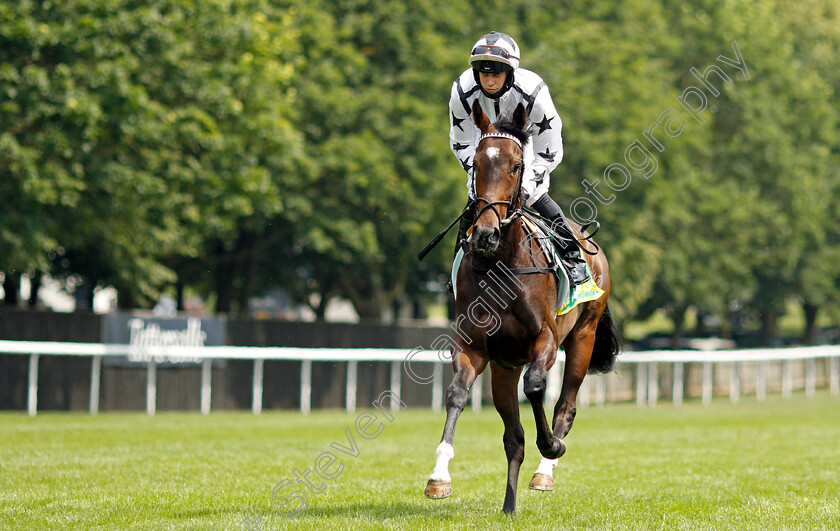 Oscula-0001 
 OSCULA (Mark Crehan)
Newmarket 9 Jul 2021 - Pic Steven Cargill / Racingfotos.com