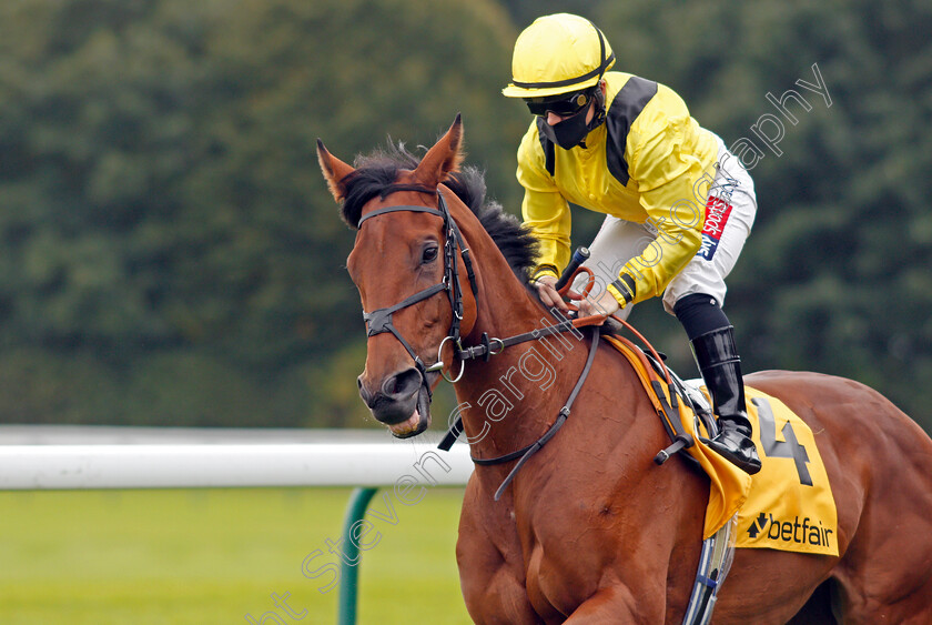 Midrarr-0001 
 MIDRARR (Hollie Doyle)
Haydock 5 Sep 2020 - Pic Steven Cargill / Racingfotos.com