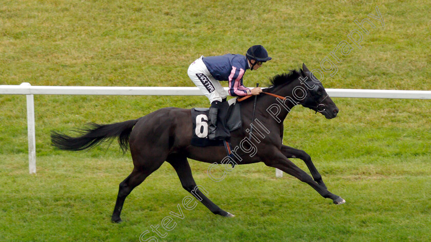 Skymax-0006 
 SKYMAX (Harry Bentley) wins The Regus Handicap
Newbury 19 Jul 2019 - Pic Steven Cargill / Racingfotos.com